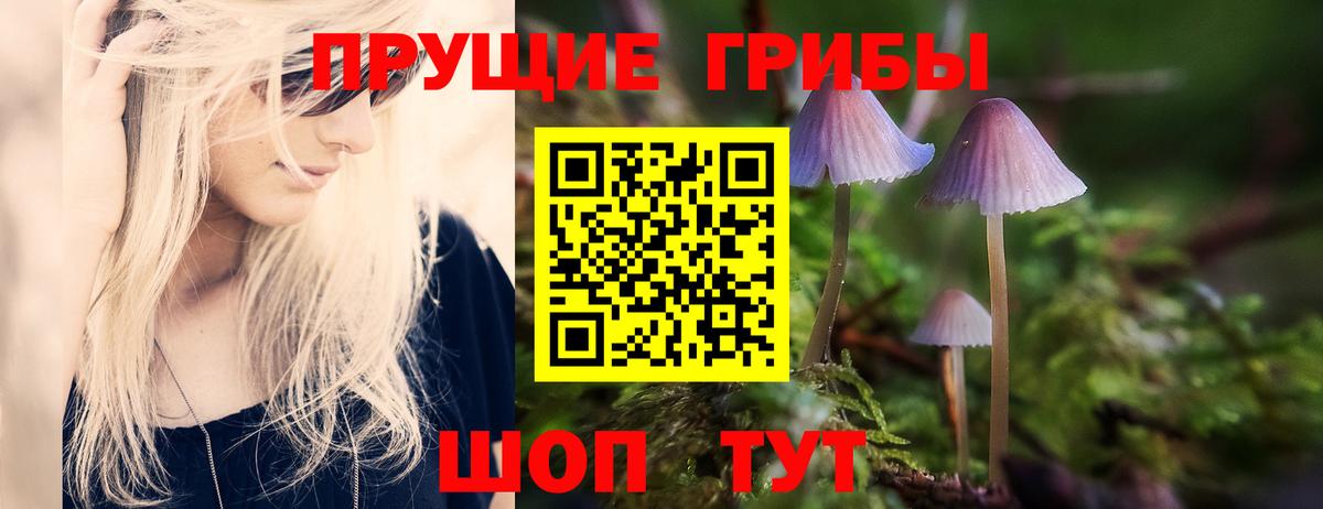 Галлюциногенные грибы Magic Shrooms  Вход с VPN  Галлюциногенные грибы мухоморы  Протвино 